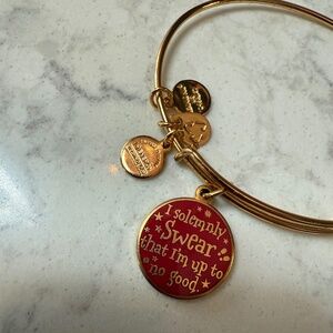Alex and Ani Harry Potter Bracelet EXCELLENT CONDITION